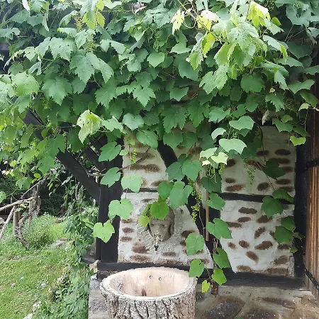 Kolyova House Bakhretsi