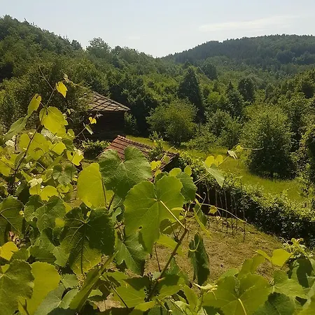 Pensiune Kolyova House