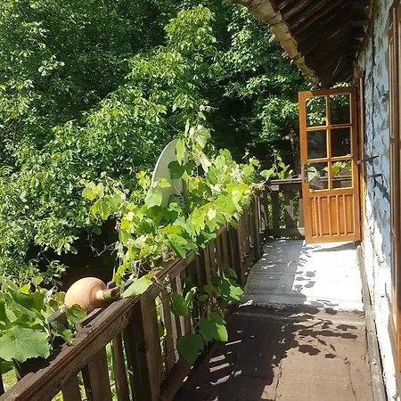 Kolyova House * Bakhretsi