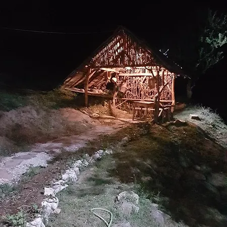 Pensiune Kolyova House *
